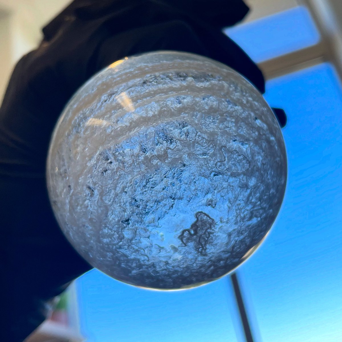 HansonFSU tweet media