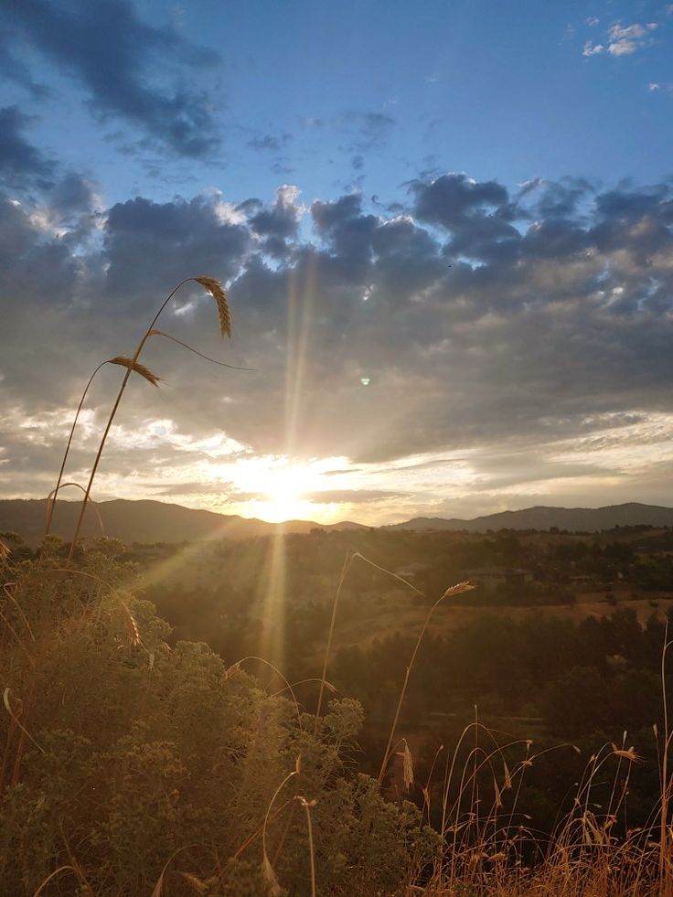 Vanessa Natali (@_natalifranco_) on Twitter photo 