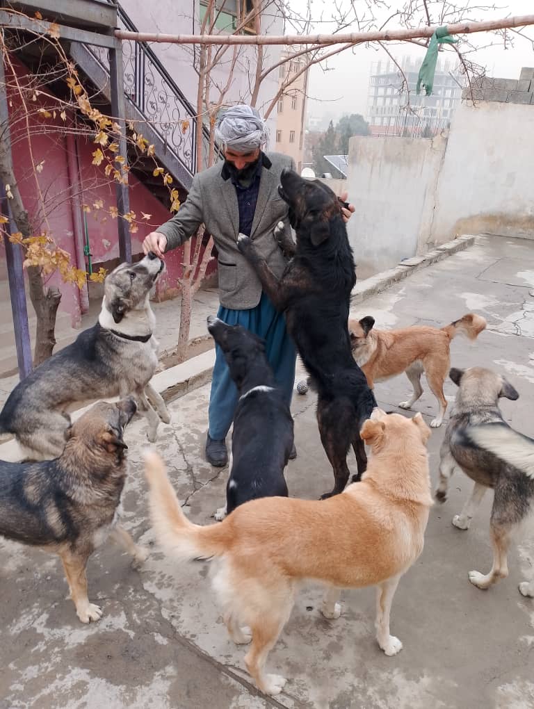 KSARshelter's tweet image. A 📝 from Kabul:
Dear KSAR Supporters, 
My Giving Circle’s December grant cycle ends in 30 hours and we at #2 at the moment, which comes with a $5,000 USD prize.   You've helped us climb into the top 2️⃣ in a very competitive round and we'd love to stay in the 🏃.  Every 🗳️…