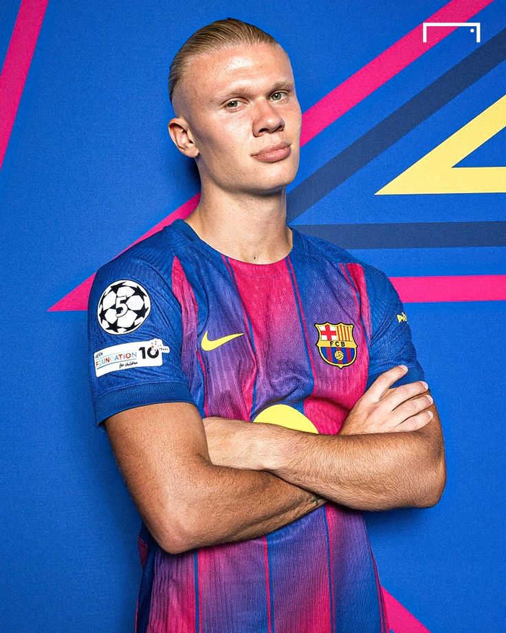 Pedrinho10 tweet media