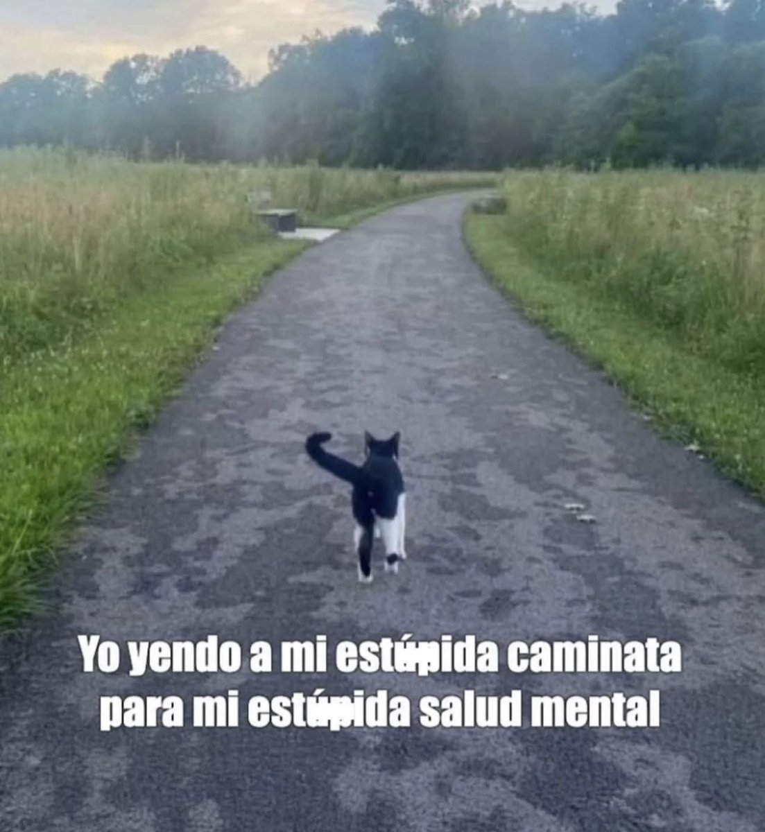 piña sin pizza (@skereunpesado) on Twitter photo 