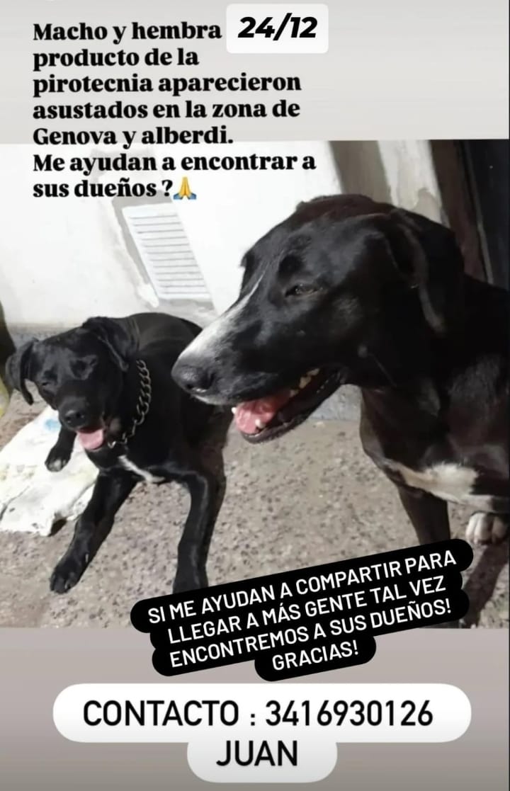 Atención rosarioooo!!!
<a href="/emergenciasAR/">red de emergencias</a> <a href="/mercearbu/">MERCEARBU</a> <a href="/jackiesiempre/">JACKIE</a> <a href="/oscarjuan5/">oscar juan🐱💛( si no sabés, soy mujer)💙</a> <a href="/marcela_sa34625/">San💙💛💙💛💪</a>