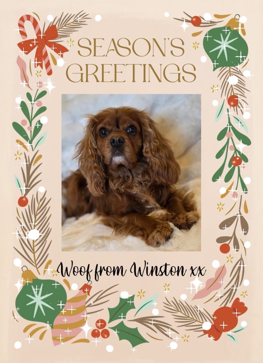 Sorry it’s late… my pawrents ditched me for Xmas to go to Prague! Merry xmas to all my furrends 💜 as you can see I’ve been slumming it at doggy home from home 🙄 #CavPack