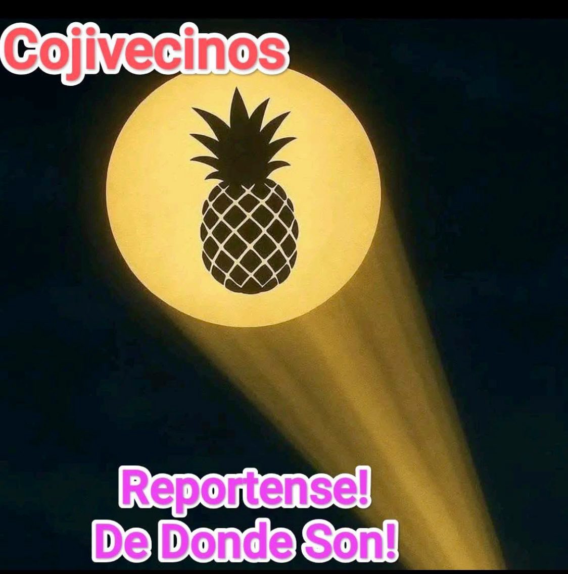 Srysrapiña tweet media