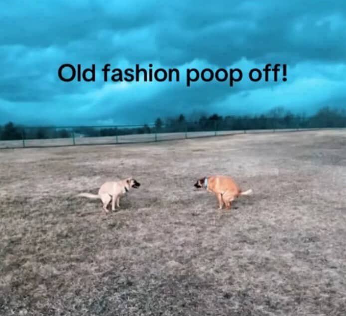 vampireroan's tweet image. 