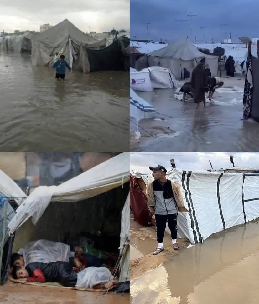 Is there anyone who feels?  
Or has the world become numb?  
Gaza is drowning.