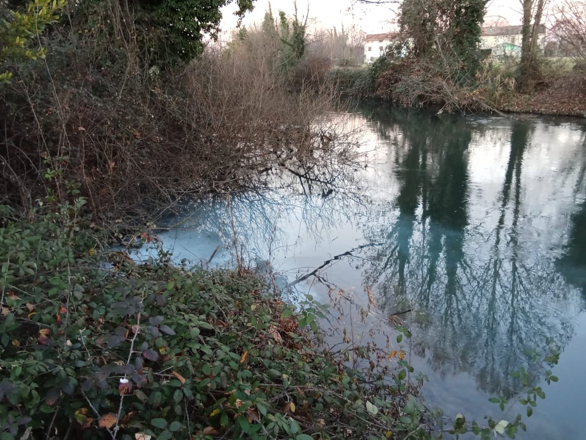 ARPAFVG's tweet photo. 💧#Arpafvg intervenuta su richiesta dei #VVFF per presenza sostanza anomala nel corso d'acqua #Fiume a #FiumeVeneto. Fenomeno esaurito e corso d'acqua tornato alle normali condizioni. Effettuato campione d'acqua per ulteriori accertamenti. https://t.co/nKptdQiyH1