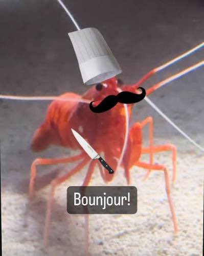 itsshrimplesol tweet picture