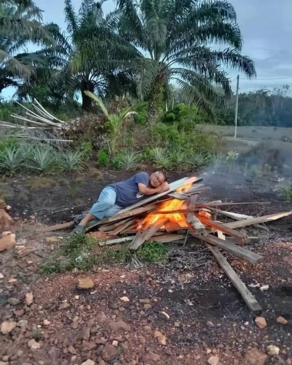 human pudding tweet media