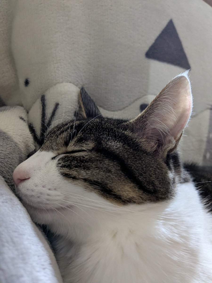 くまのプーさん マスコット きょとん顔Ver.（ティガー） - メルカリ, image size:900x1200