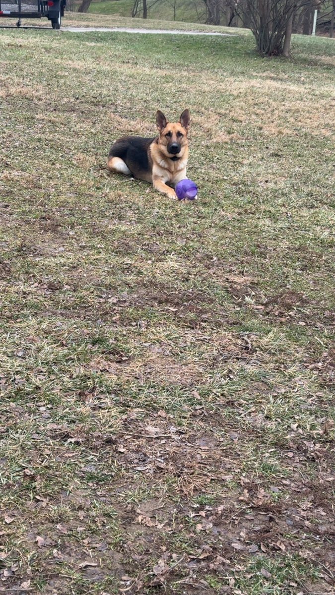 Kyle Rutledge, MS, MHA, AT, ATC tweet media