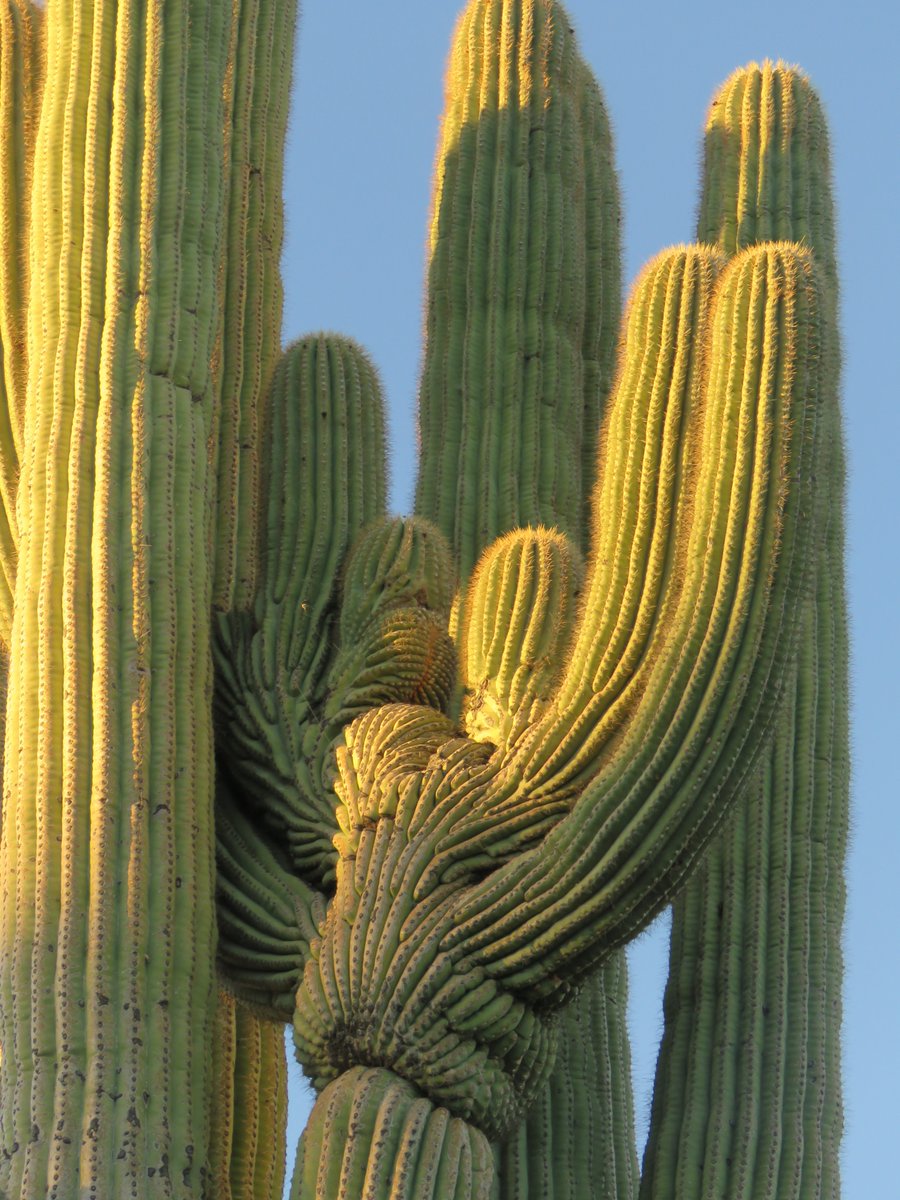 Melissa Crytzer Fry tweet media