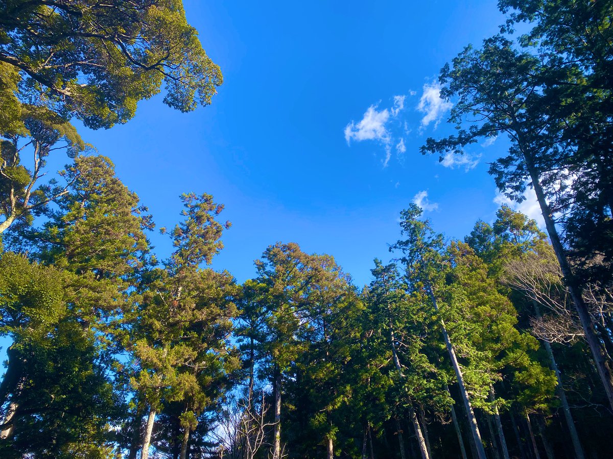 ここ数日、緑の多い場所で過ごしてました〜！！笑
そしたら、疲れてた脳が生き返った...🌿
年末年始にやることや、2026年の目標も決めることができました💫