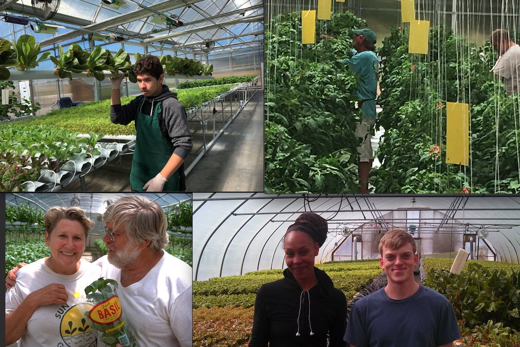 Joe Swartz tweet media