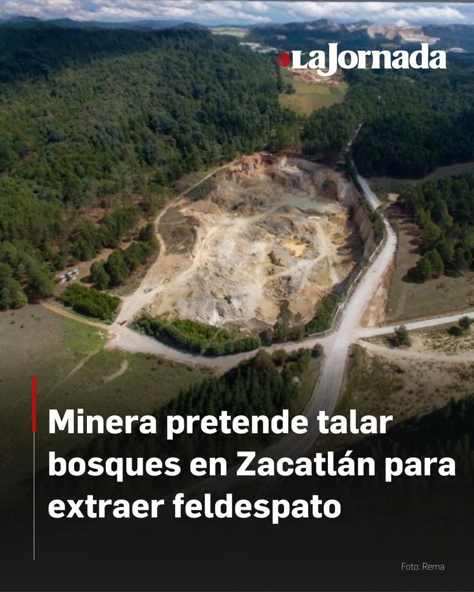 lajornadaonline's tweet image. La empresa Feldmex ha solicitado a la Semarnat permiso para remover 10 hectáreas de coníferas en Zacatlán para la extracción de feldespato.

El proyecto de minería a cielo abierto pone en peligro a especies protegidas por la NOM-059, como oyameles y encinos, además de amenazar el…