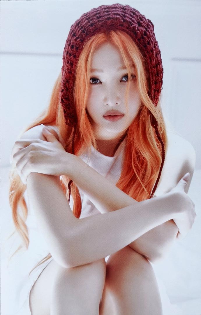 _imyour_cookie's tweet image. 2026 Season's Greetings scan
🎀
#조이