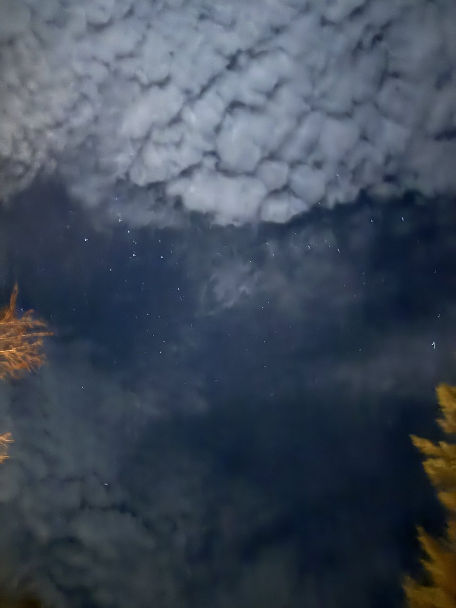 🐙 coLeK 🐙 (@mrcolek) on Twitter photo 