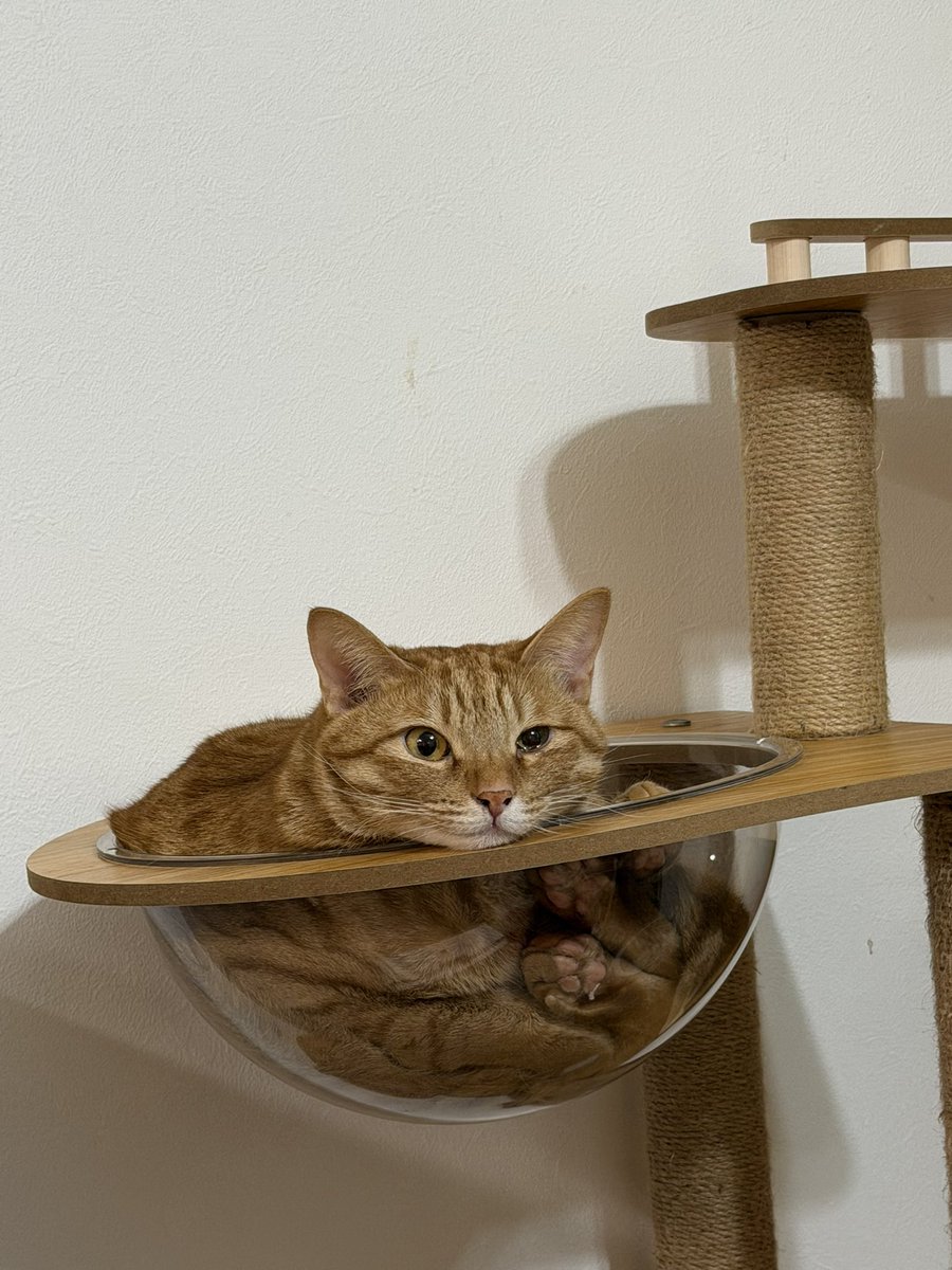 たなかたろう セブン工業、社長に田中太郎（たなか・たろう）氏 | 人物 ニュース