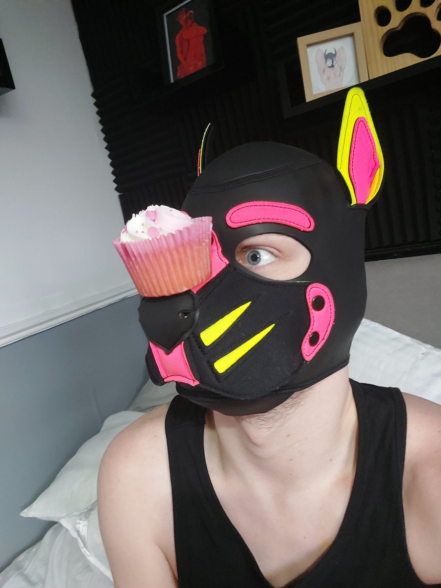 Pup Jacques tweet media