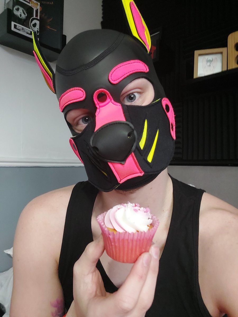 Pup Jacques tweet media