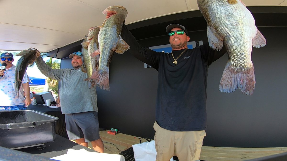 ProSitesUnlimited tweet media