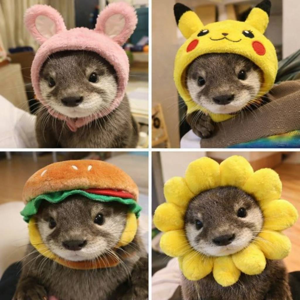 After being banned from the pub (again), Steve is experimenting with disguises.