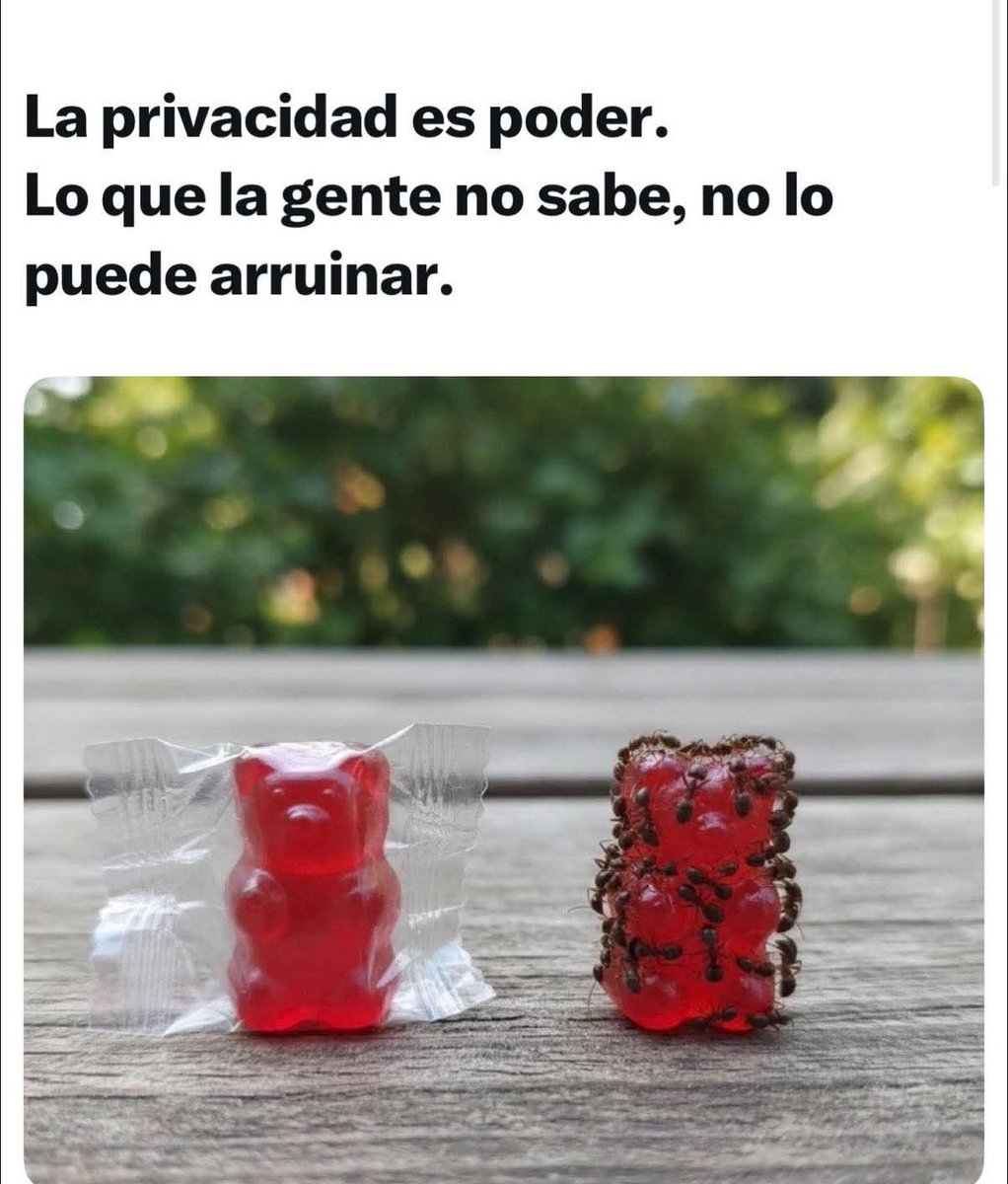 Mauricio Fernando Rodríguez Tamayo tweet media