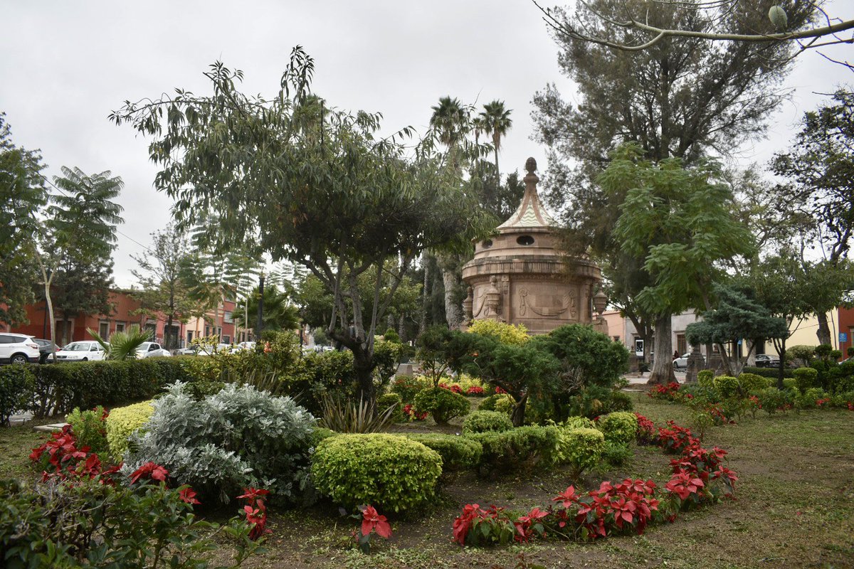Parques y Jardines realiza la limpieza general del área de la caja del agua , con deshierbe, riego y recolección de basura y excedentes.🍃🧹

Seguimos trabajando para que los espacios de #SanLuisAmable se mantengan limpios y en buenas condiciones para todas y todos. 🤝