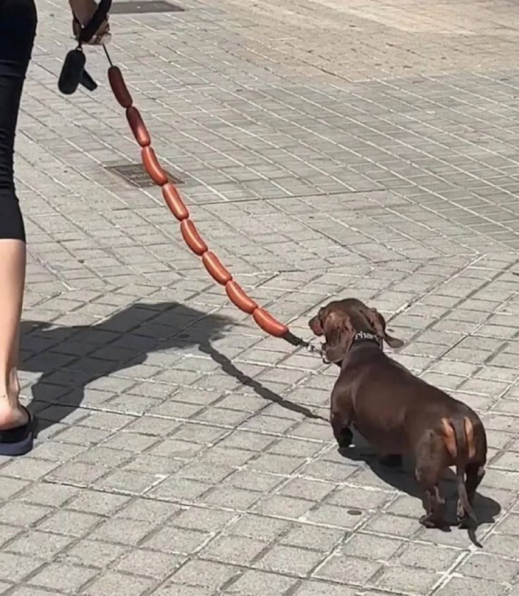 animalkyat's tweet image. リードがセンスの塊すぎた