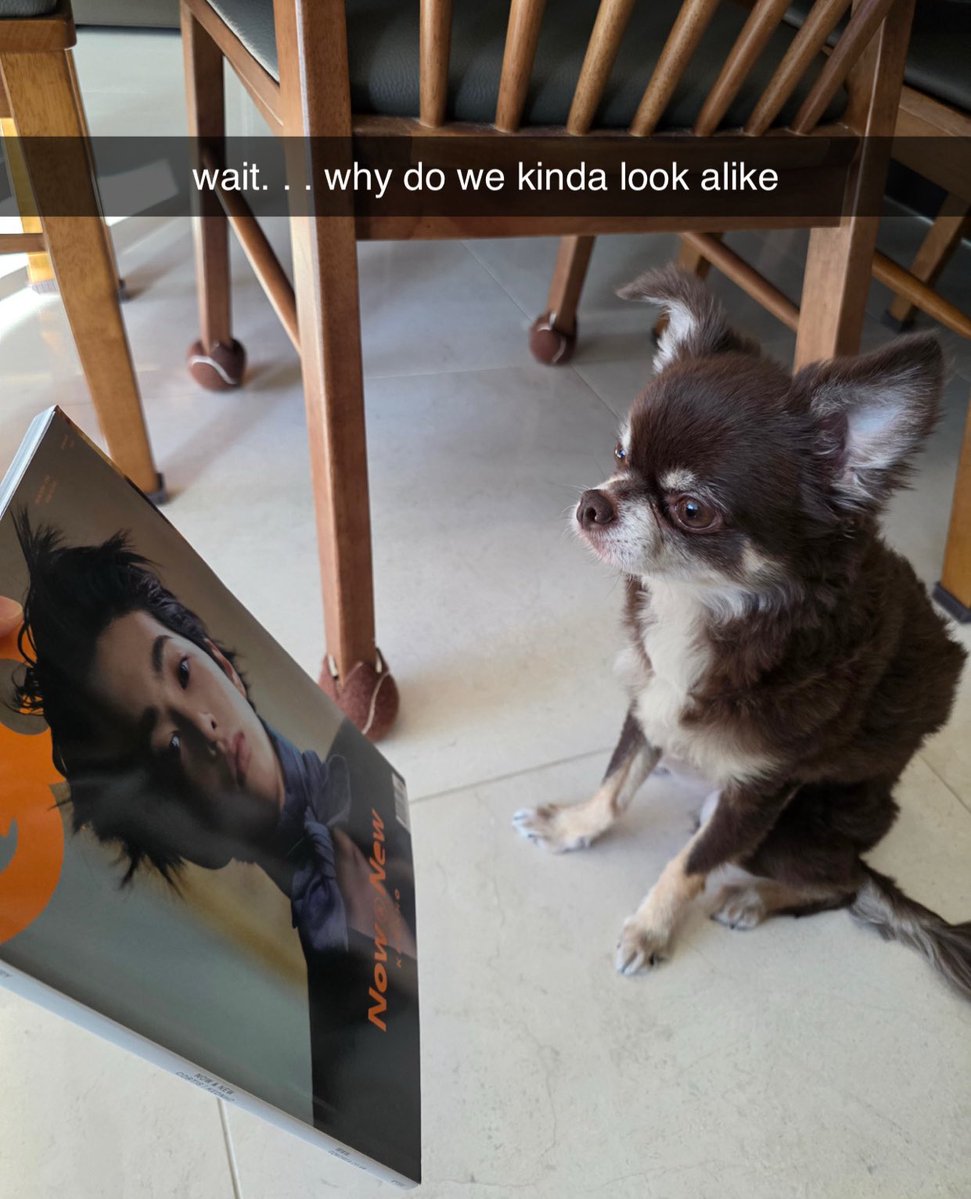 vesitc's tweet image. 