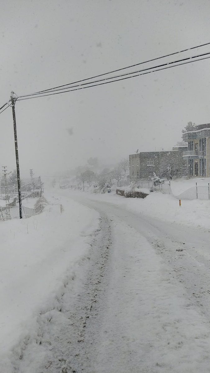 "Karda tekerlek izleri Dostoyevski'ye götüren"

Ahmet Murat