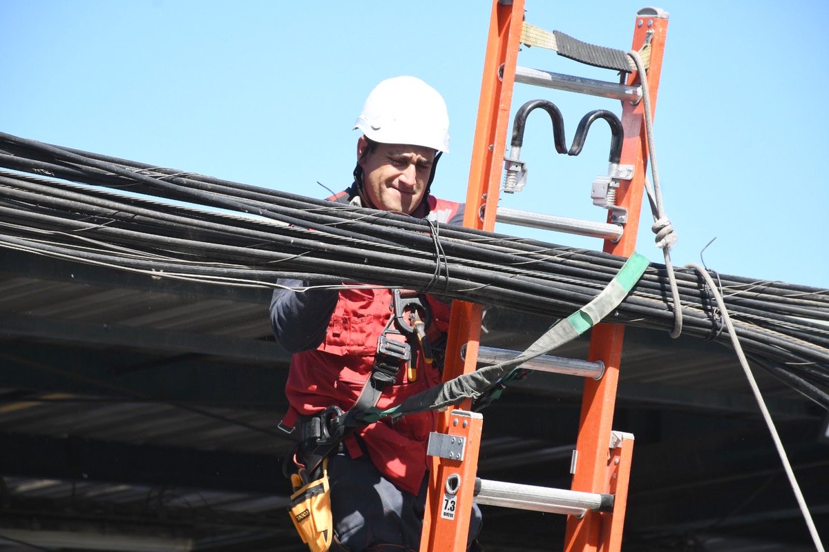 Felipe Muñoz Vallejos tweet media