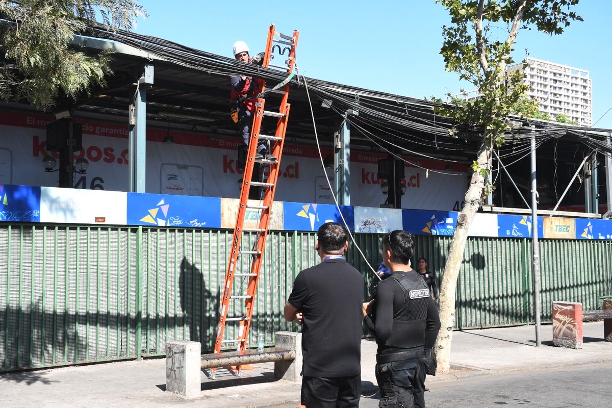 Felipe Muñoz Vallejos tweet media