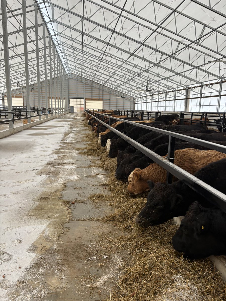 Sure is nice doing chores in this shed! <a href="/WeCover_Steel/">WeCover Structures</a>