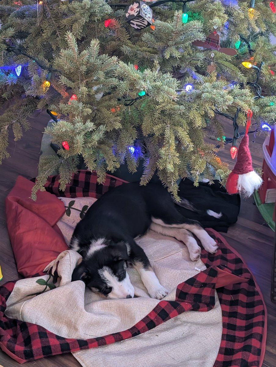 Merry Christmas and Happy New Year from us at the Rafter Bar Ranch! We wish health and happiness to all!