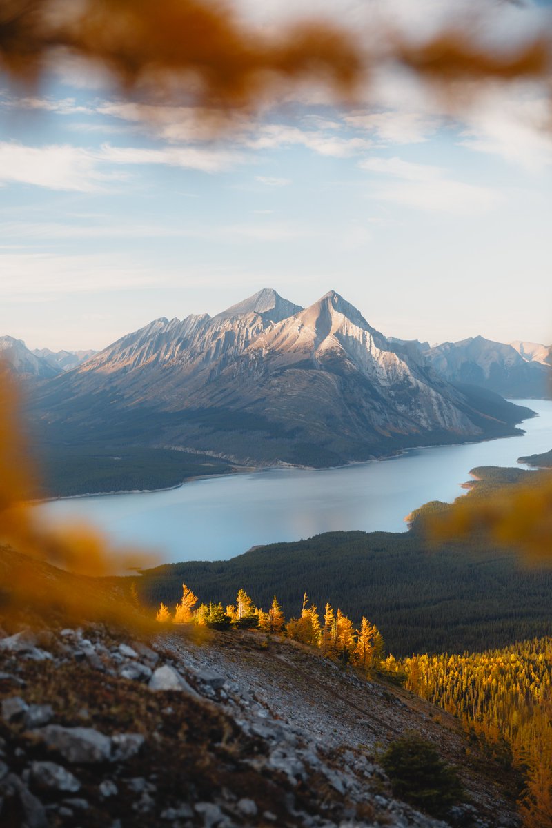 alexmack__'s tweet image. gmmmm 💛