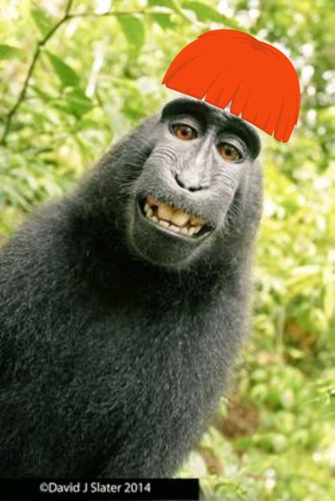 James2BD's tweet image. 