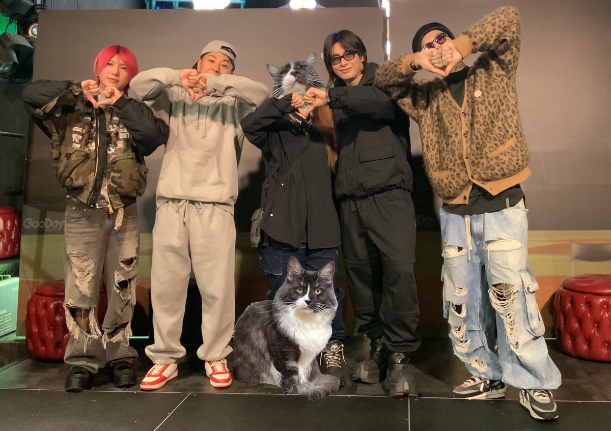 dj27_dragon's tweet photo. レペゼン猫ちゃん😠🫶 https://t.co/mK6VUBcoMN