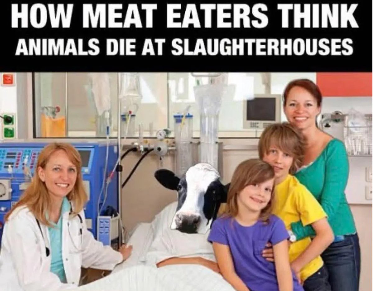tekitolavida's tweet photo. @llandoniffirg Found the carnist! https://t.co/BhMbantEEb