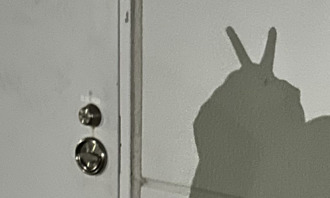 おめでとう、ずっとずっと大好きな人 #HAPPYVDAY