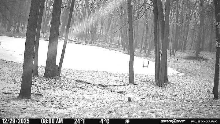 Krispy Michigan morning