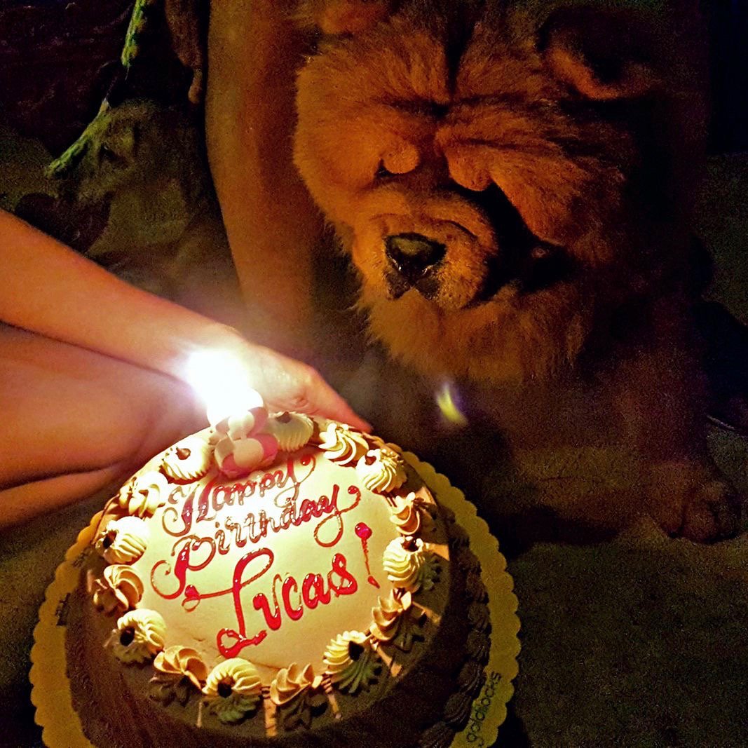 jukebarks's tweet image. Oh God it's happening again