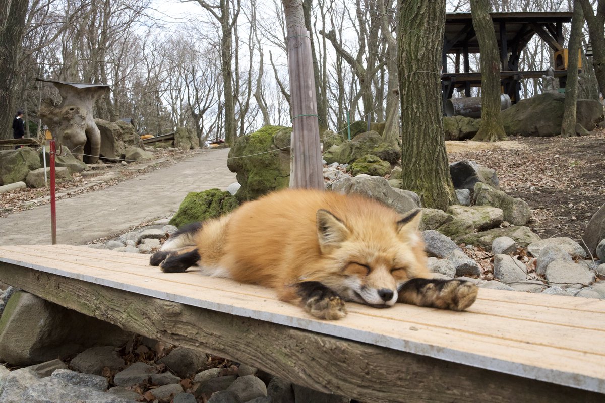 Weekly gaming events at the laboratory, image size:1200x800