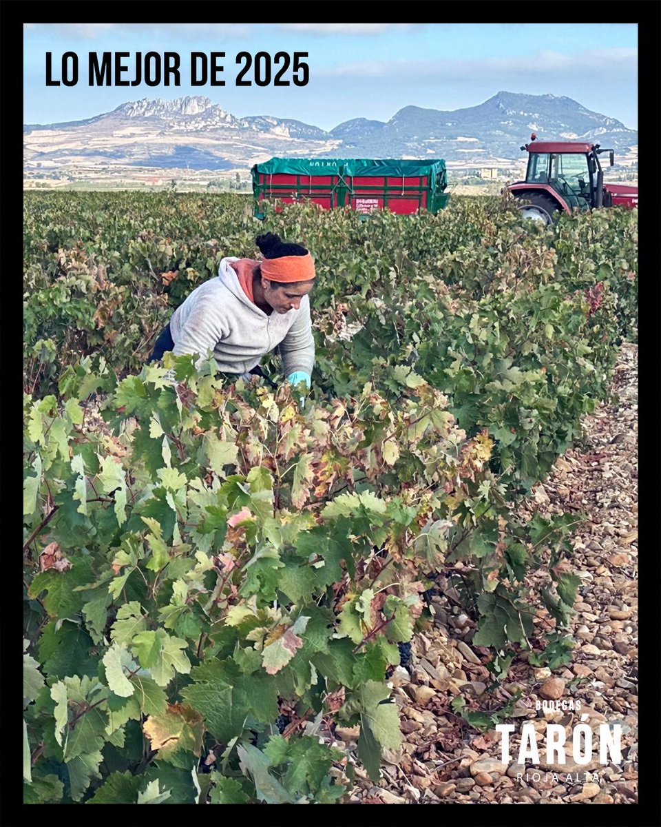 BodegasTaron tweet media