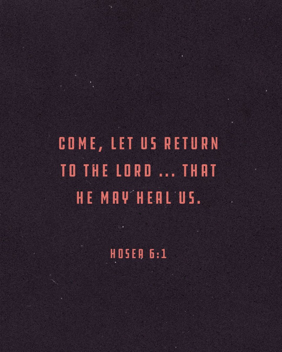 Life Teen tweet media