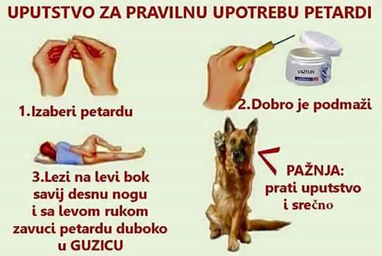 OgiRadivojevic's tweet photo. Uz presdstojeće praznike, podsetimo se uputstava za dobar provod: https://t.co/7HqLWOHY17