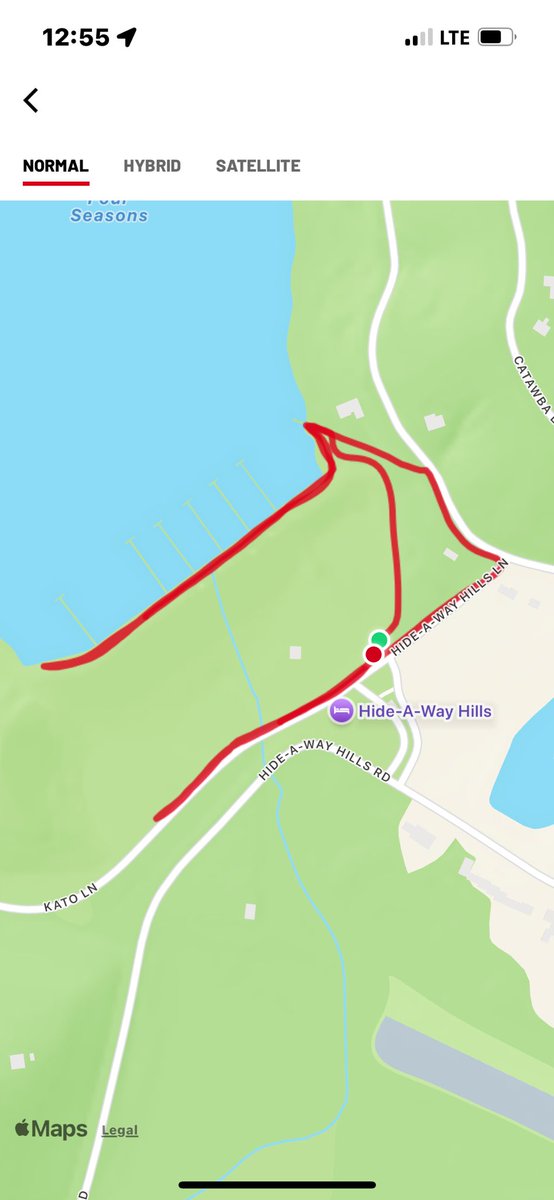 Ella Schmidt (committed) tweet media