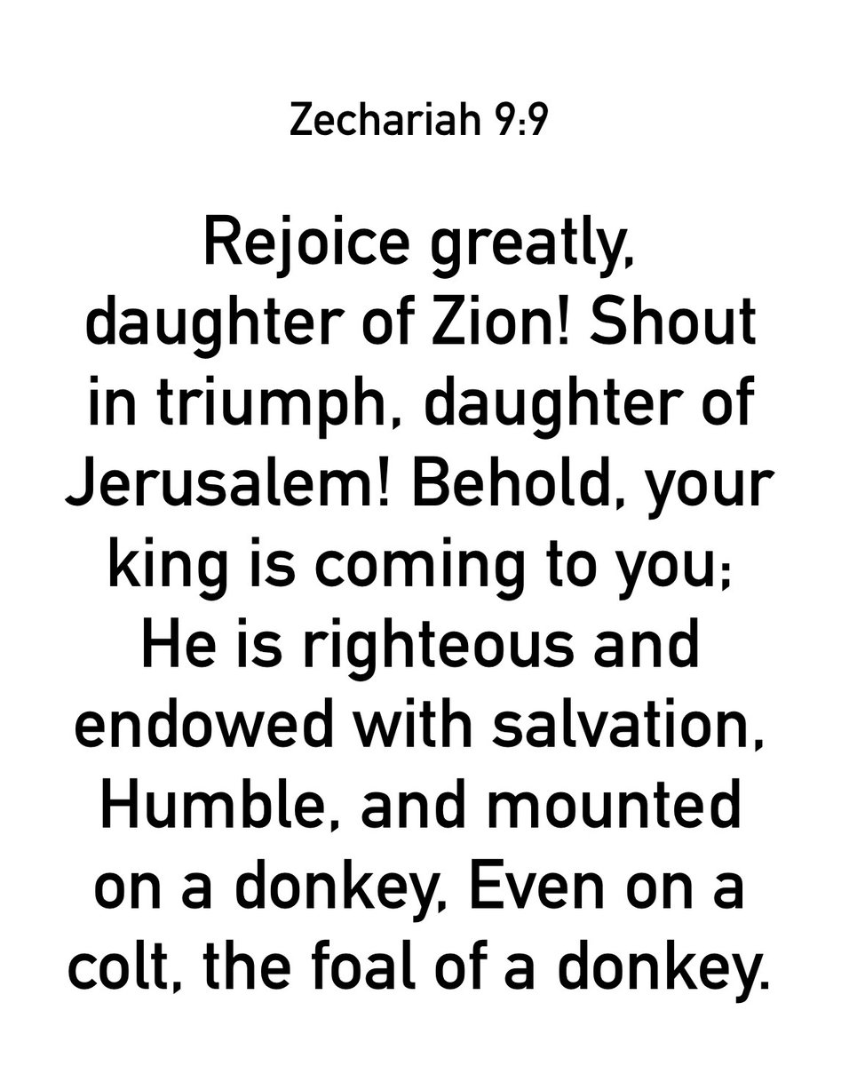 MarkDClements's tweet image. #votd