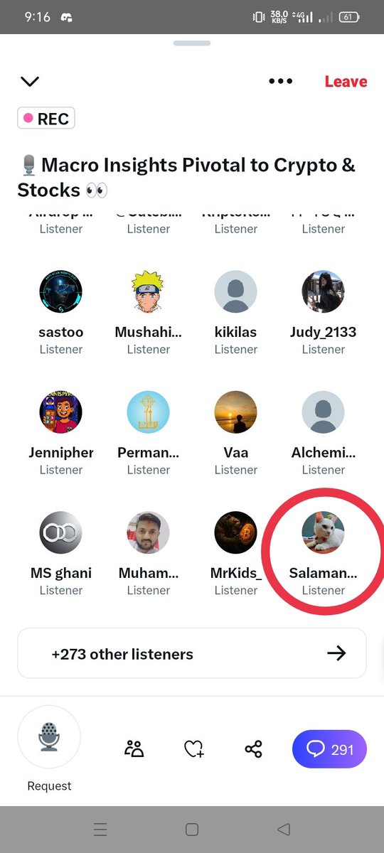 Salamander tweet media