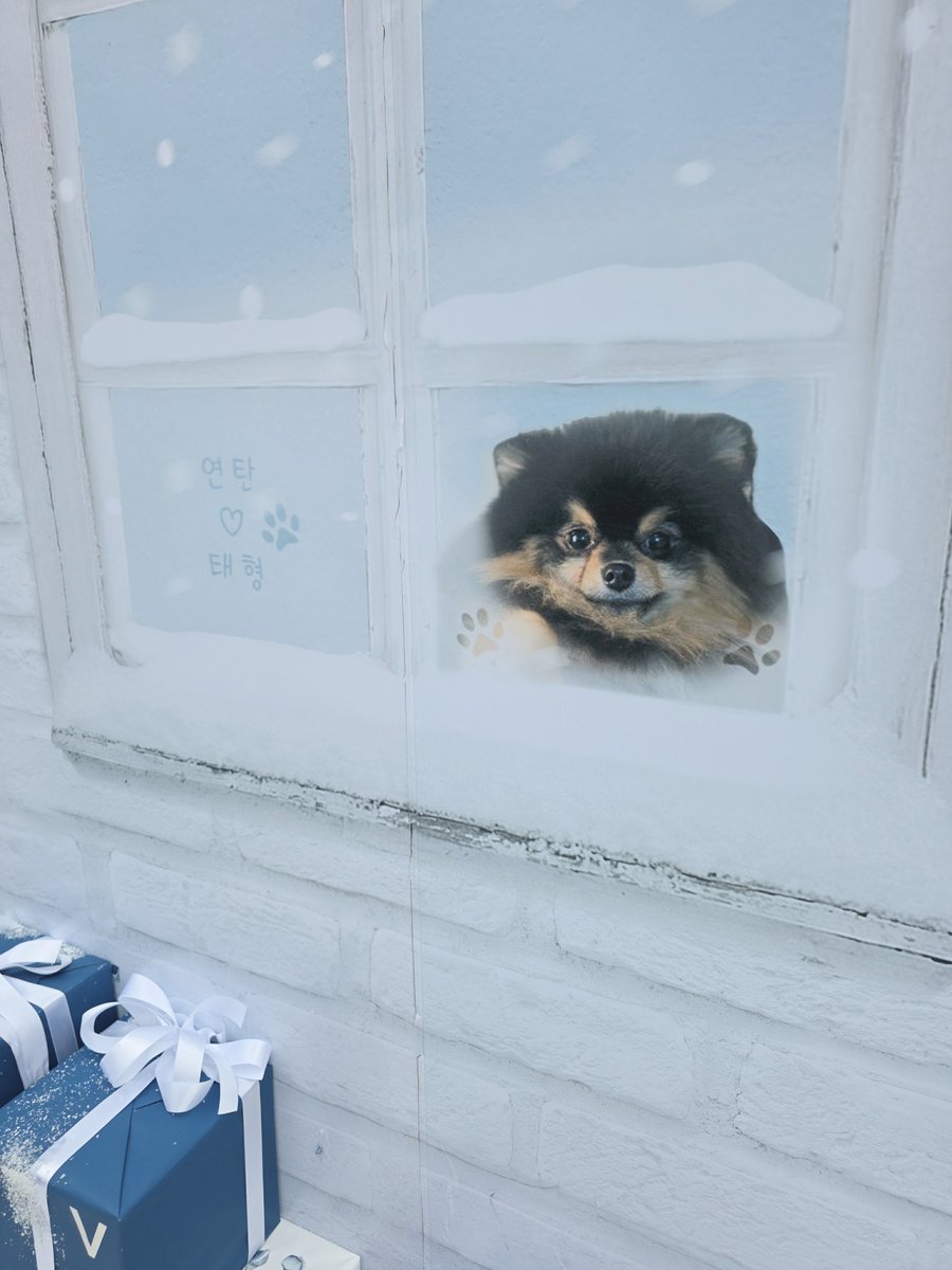 taeguide's tweet photo. This beautiful zone by @KTH_Supporters behind Hybe is by far the cutest birthday project. All the tiny details such as Yeontan’s paw prints on the window and a White Christmas tree with messages from Armys so absolutely adorable 

#HappyBirthdayTaehyung 
#HAPPYVDAY
#TimelessIconTaehyung
#VEpitomeOfExcellence
#TaeOurWinterComfort
#TaehyungOurPurpleLight
#ForeverOurTreasureV 

HAPPY TAEHYUNG DAY